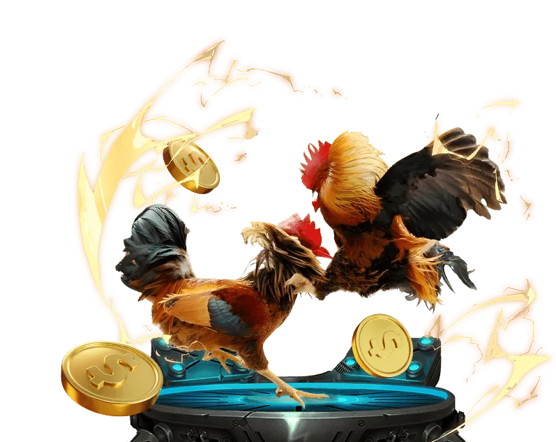 Đội ngũ bj66 casino và tầm nhìn phát triển